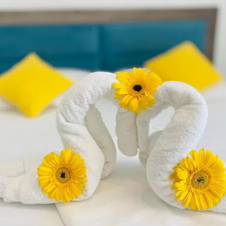 게스트하우스 Pensiunea Casid