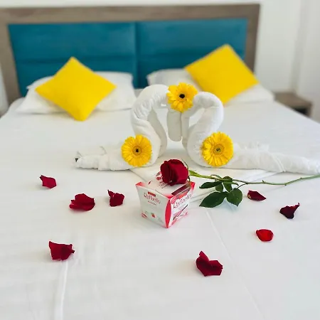 게스트하우스 Pensiunea Casid 데포리노드