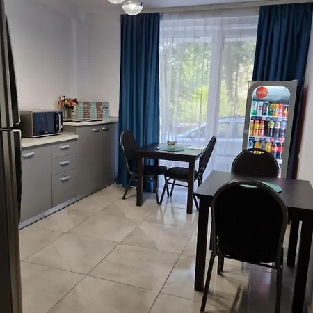 Pensiunea Casid 게스트하우스 3*