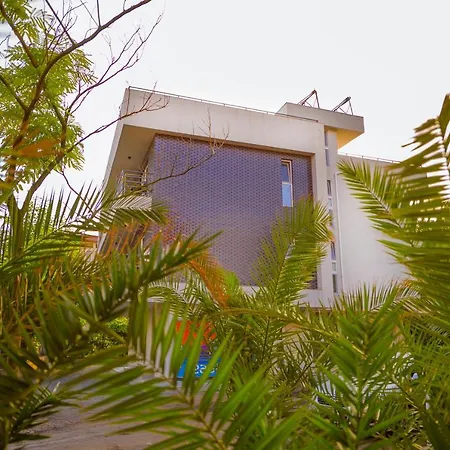 Guest house Pensiunea Casid