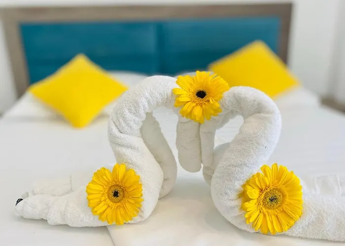 Гостевой дом Pensiunea Casid